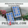 African Black Ant Pills 20